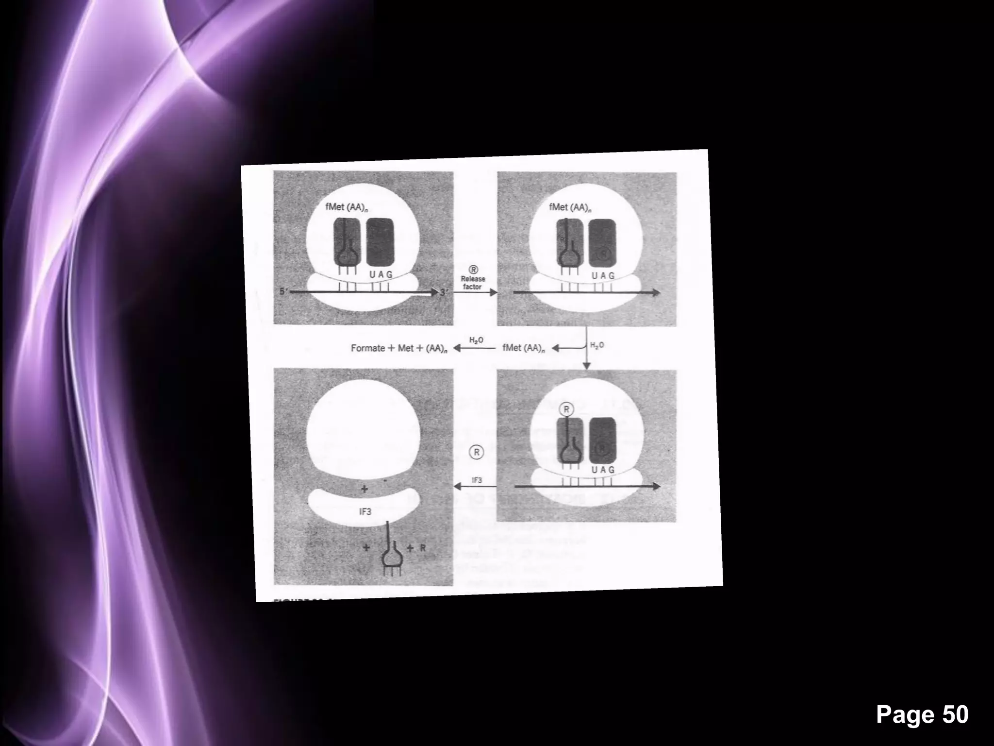 Fig. Termination

                   Page 50
 