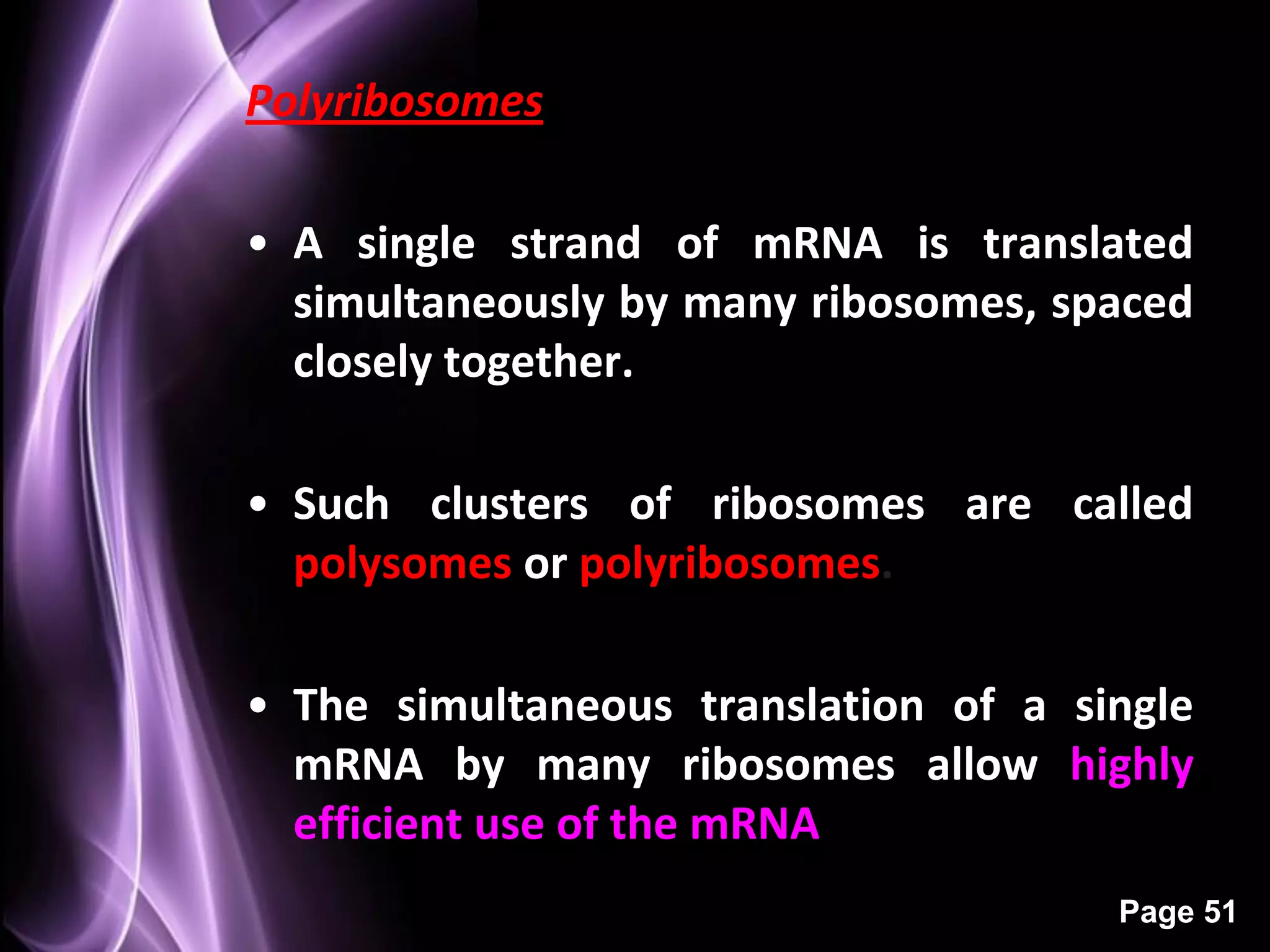 Polyribosomes

• A single strand of mRNA is translated
  simultaneously by many ribosomes, spaced
  closely together.

• Such clusters of ribosomes are called
  polysomes or polyribosomes.

• The simultaneous translation of a single
  mRNA by many ribosomes allow highly
  efficient use of the mRNA
                                      Page 51
 
