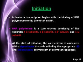 Initiation
• In bacteria, transcription begins with the binding of RNA
  polymerase to the promoter in DNA.

• RNA polymerase is a core enzyme consisting of five
  subunits: 2 α subunits, 1 β subunit, 1 β' subunit, and 1 ω
  subunit.

• At the start of initiation, the core enzyme is associated
  with a sigma factor that aids in finding the appropriate -35
  and -10 base pairs downstream of promoter sequences.


                                                        Page 12
 