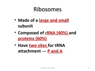 Ribosomes
• Made of a large and small
  subunit
• Composed of rRNA (40%) and
  proteins (60%)
• Have two sites for tRNA
  attachment --- P and A


           copyright cmassengale   15
 