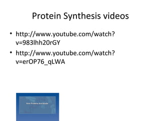 Protein Synthesis videos
• http://www.youtube.com/watch?
  v=983lhh20rGY
• http://www.youtube.com/watch?
  v=erOP76_qLWA
 