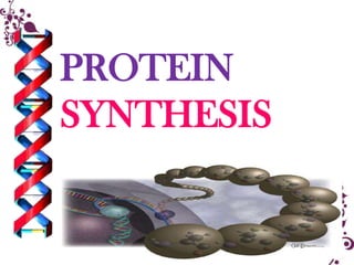 PROTEIN
SYNTHESIS
 