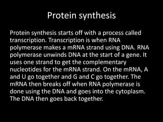 Protein synthesis
Protein synthesis starts off with a process called
transcription. Transcription is when RNA
polymerase makes a mRNA strand using DNA. RNA
polymerase unwinds DNA at the start of a gene. It
uses one strand to get the complementary
nucleotides for the mRNA strand. On the mRNA, A
and U go together and G and C go together. The
mRNA then breaks off when RNA polymerase is
done using the DNA and goes into the cytoplasm.
The DNA then goes back together.

 