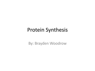 Protein Synthesis
By: Brayden Woodrow

 