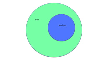 Cell

Nucleus

 