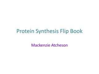 Protein Synthesis Flip Book
Mackenzie Atcheson

 