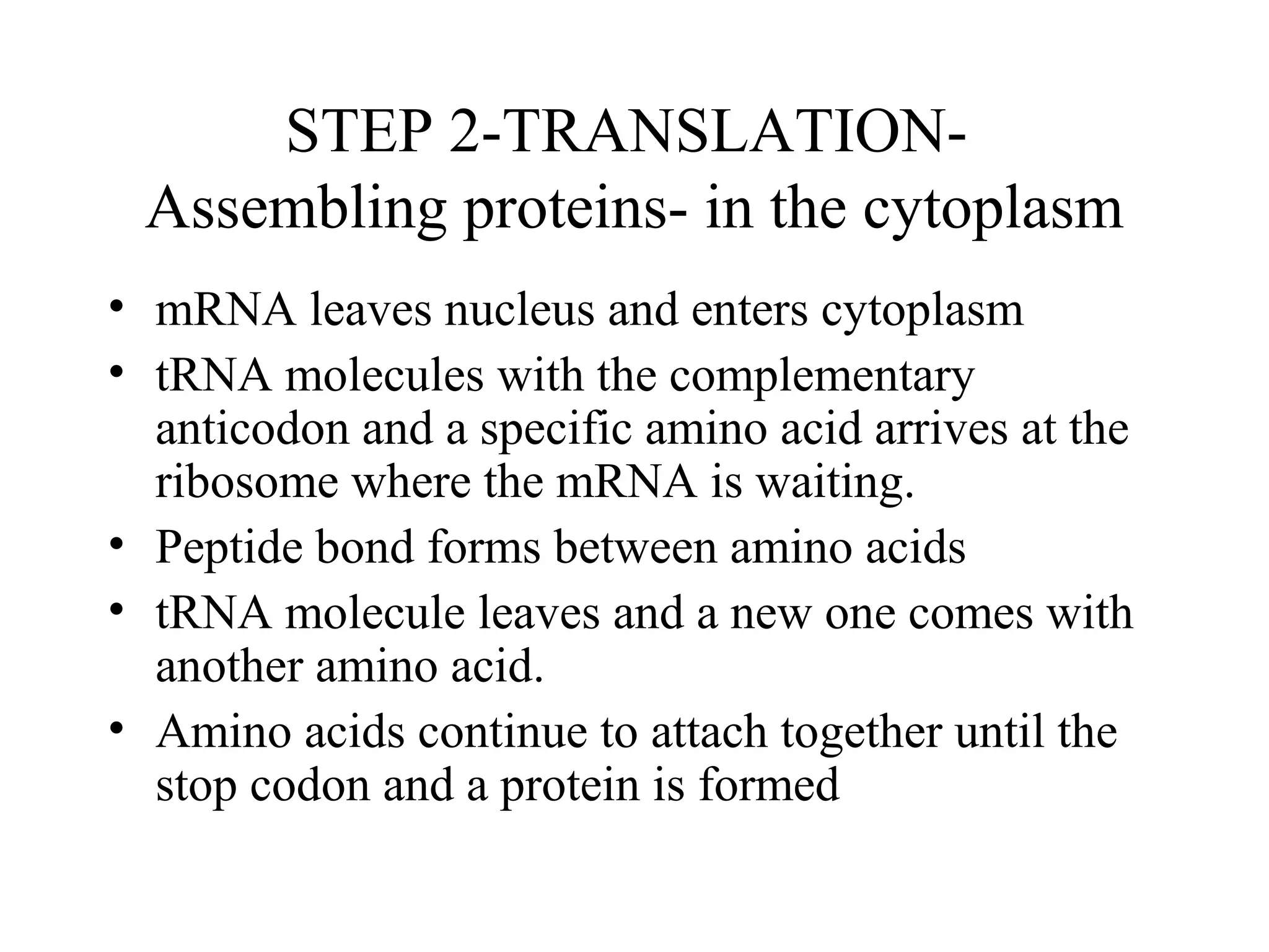 Protein synthesis | PPT