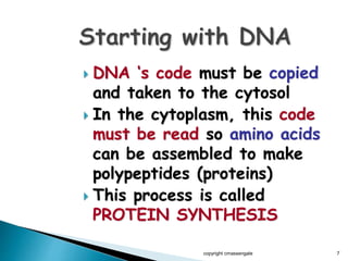  DNA ‘s code must be copied
and taken to the cytosol
 In the cytoplasm, this code
must be read so amino acids
can be assembled to make
polypeptides (proteins)
 This process is called
PROTEIN SYNTHESIS
copyright cmassengale 7
 