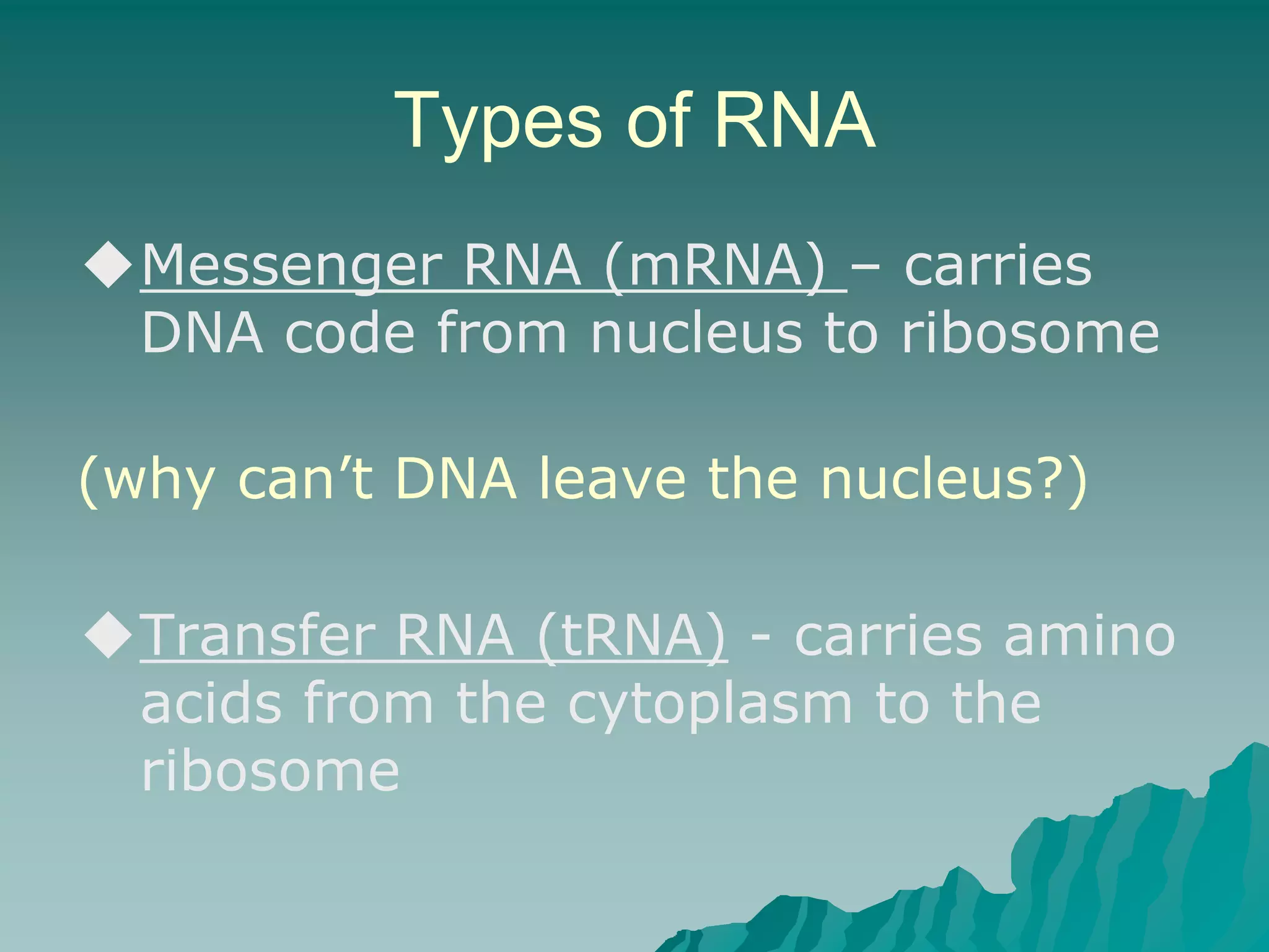 Protein synthesis ppt free download