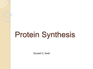 Protein Synthesis
Suvash C. Awal
 