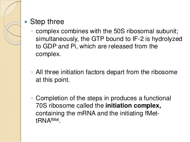 protein synthesis combines with protein to form the 2 ribosomal subunits