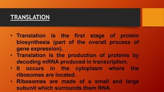 TRANSLATION
• Translation is the first stage of protein
biosynthesis (part of the overall process of
gene expression).
• Translation is the production of proteins by
decoding mRNA produced in transcription.
• It occurs in the cytoplasm where the
ribosomes are located.
• Ribosomes are made of a small and large
subunit which surrounds them RNA.
 