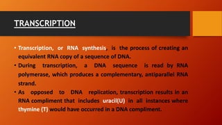 TRANSCRIPTION
• Transcription, or RNA synthesis, is the process of creating an
equivalent RNA copy of a sequence of DNA.
• During transcription, a DNA sequence is read by RNA
polymerase, which produces a complementary, antiparallel RNA
strand.
• As opposed to DNA replication, transcription results in an
RNA compliment that includes uracil(U) in all instances where
thymine (T) would have occurred in a DNA compliment.
 