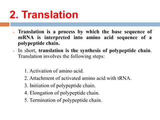 2. Translation
 Translation is a process by which the base sequence of
mRNA is interpreted into amino acid sequence of a
polypeptide chain.
 In short, translation is the synthesis of polypeptide chain.
Translation involves the following steps:
1. Activation of amino acid.
2. Attachment of activated amino acid with tRNA.
3. Initiation of polypeptide chain.
4. Elongation of polypeptide chain.
5. Termination of polypeptide chain.
 