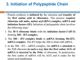 3. Initiation of Polypeptide Chain
 Protein synthesis is initiated by the selection and transfer of
the first amino acid to ribosomes. This process requires
ribosome sub units, amino acyl-tRNA complex, mRNA and
initiation factors (IF). Initiation of polypeptide chain involves
the following steps:
1. The 30 S ribosome binds with the initiation factor-3 (IF-3)
forming 30S - IF3 complex.
2. The 30S - IF3 complex binds to mRNA forming 30s-IF3-
mRNA complex. The IF3 helps the 30S to bind with mRNA .
3. In the 30S - IF3 - mRNA complex, the mRNA is attached to
the 3OS ribosome in such a way that the first codon AUG of
mRNA is inserted in the Psite of ribosome. In prokaryotes,
the first codon of mRNA will be AUG and it codes for the
amino acid methionine
 