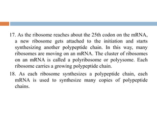 17. As the ribosome reaches about the 25th codon on the mRNA,
a new ribosome gets attached to the initiation and starts
synthesizing another polypeptide chain. In this way, many
ribosomes are moving on an mRNA. The cluster of ribosomes
on an mRNA is called a polyribosome or polyysome. Each
ribosome carries a growing polypeptide chain.
18. As each ribosome synthesizes a polypeptide chain, each
mRNA is used to synthesize many copies of polypeptide
chains.
 