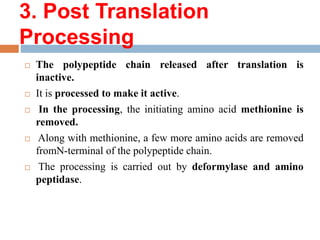 3. Post Translation
Processing
 The polypeptide chain released after translation is
inactive.
 It is processed to make it active.
 In the processing, the initiating amino acid methionine is
removed.
 Along with methionine, a few more amino acids are removed
fromN-terminal of the polypeptide chain.
 The processing is carried out by deformylase and amino
peptidase.
 