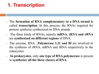 1. Transcription
 The formation of RNA complementary to a DNA strand is
called transcription. In this process, the RNAs required for
protein synthesis synthesized on DNA strands.
 The three kinds of RNAs, namely mRNA, tRNA and rRNA
are synthesized on different regions of DNA.
 The enzyme, RNA _Polymerase 1,11 and Ill are involved in
the synthesis of rRNA, mRNA and tRNA respectively in the
eukaryotes.
 In prokaryotes, only one type of RNA polymerase is present
to synthesize all the three classes of RNA.
 