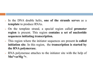  In the DNA double helix, one of the strands serves as a
template to produce RNAs.
 On the template strand, a special region called promoter
region is present. This region contains a set of nucleotide
sequences initiating transcription.
 This region where the initiator sequences are present is called
initiation site. In this region, the transcription is started by
the RNA polymerase.
 RNA polymerase attaches to the initiator site with the help of
Mn2+orMg 2+.
 