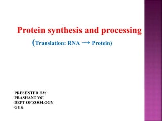 Protein synthesis and processing
(Translation: RNA → Protein)
PRESENTED BY:
PRASHANT VC
DEPT OF ZOOLOGY
GUK
 