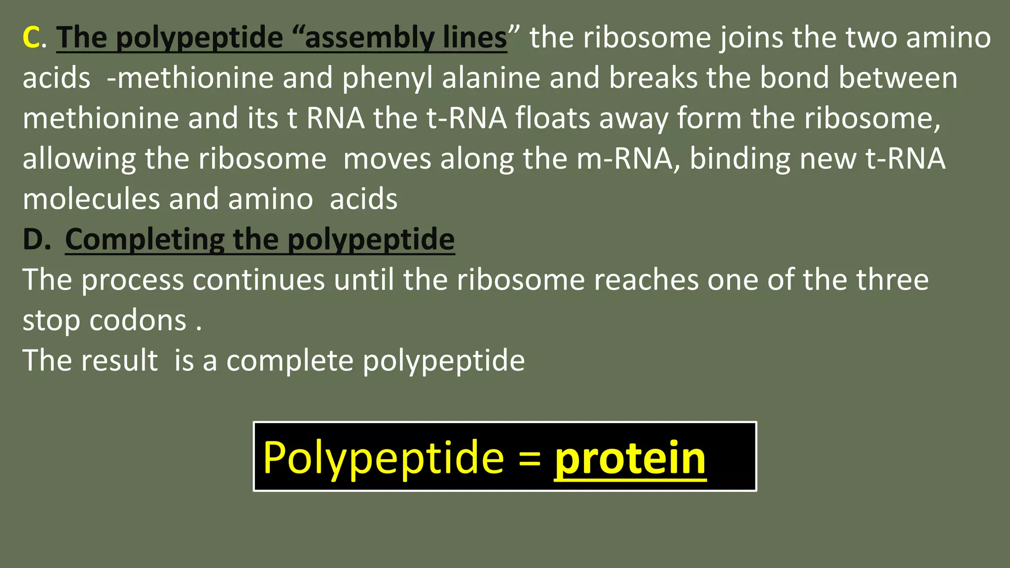 PROTEIN SYNTHESIS. PPT .pptx