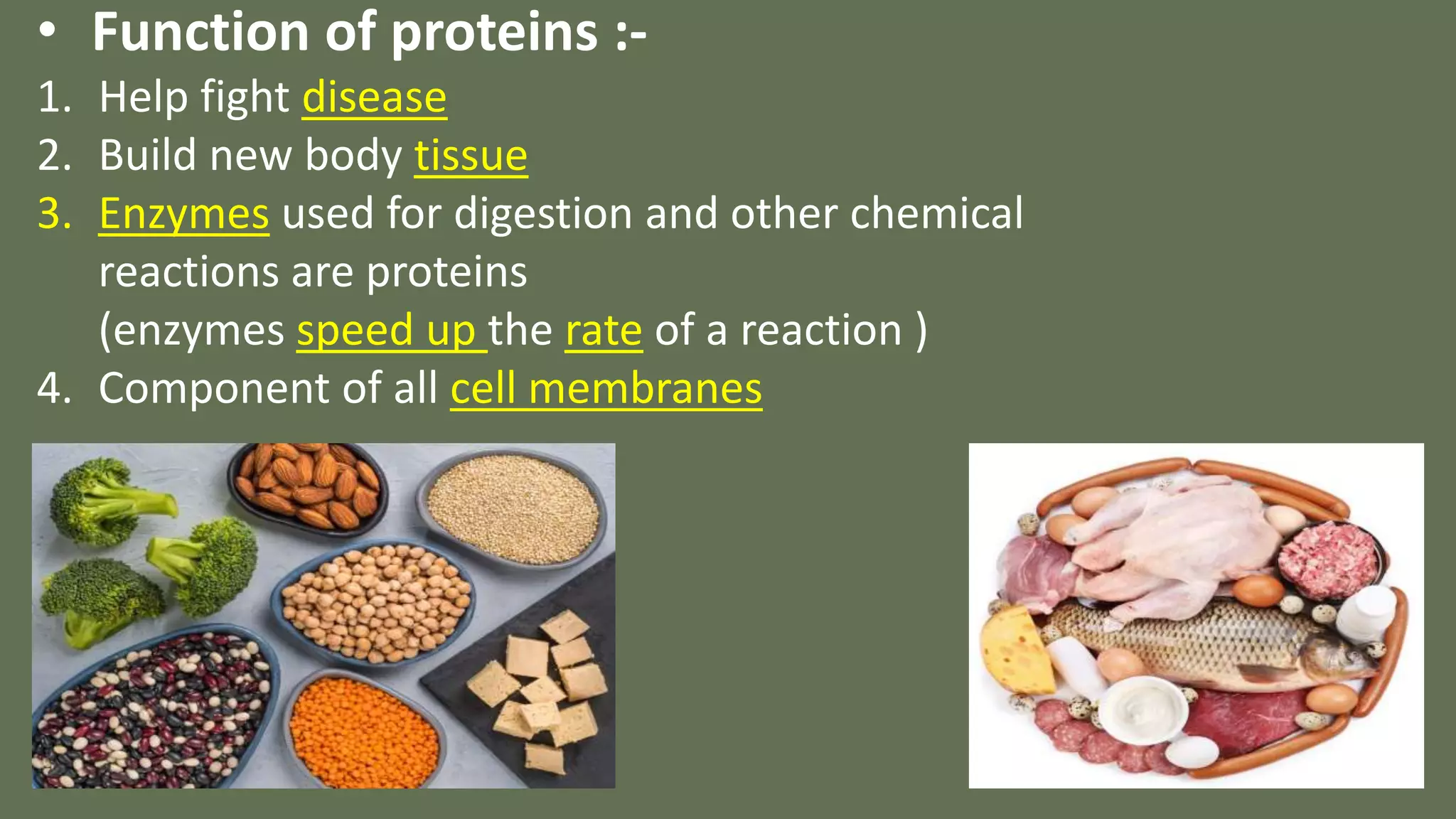 PROTEIN SYNTHESIS. PPT .pptx