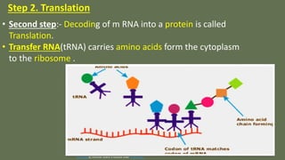 PROTEIN SYNTHESIS. PPT .pptx