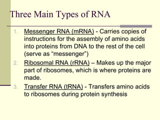 Three Rna Types Protein Synthesis.ppt