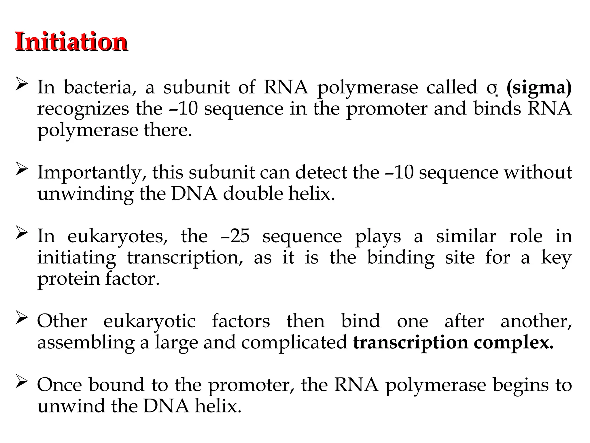 Initiation
Initiation
 In bacteria, a subunit of RNA polymerase called σ (sigma)
recognizes the –10 sequence in the promoter and binds RNA
polymerase there.
 Importantly, this subunit can detect the –10 sequence without
unwinding the DNA double helix.
 In eukaryotes, the –25 sequence plays a similar role in
initiating transcription, as it is the binding site for a key
protein factor.
 Other eukaryotic factors then bind one after another,
assembling a large and complicated transcription complex.
 Once bound to the promoter, the RNA polymerase begins to
unwind the DNA helix.
 