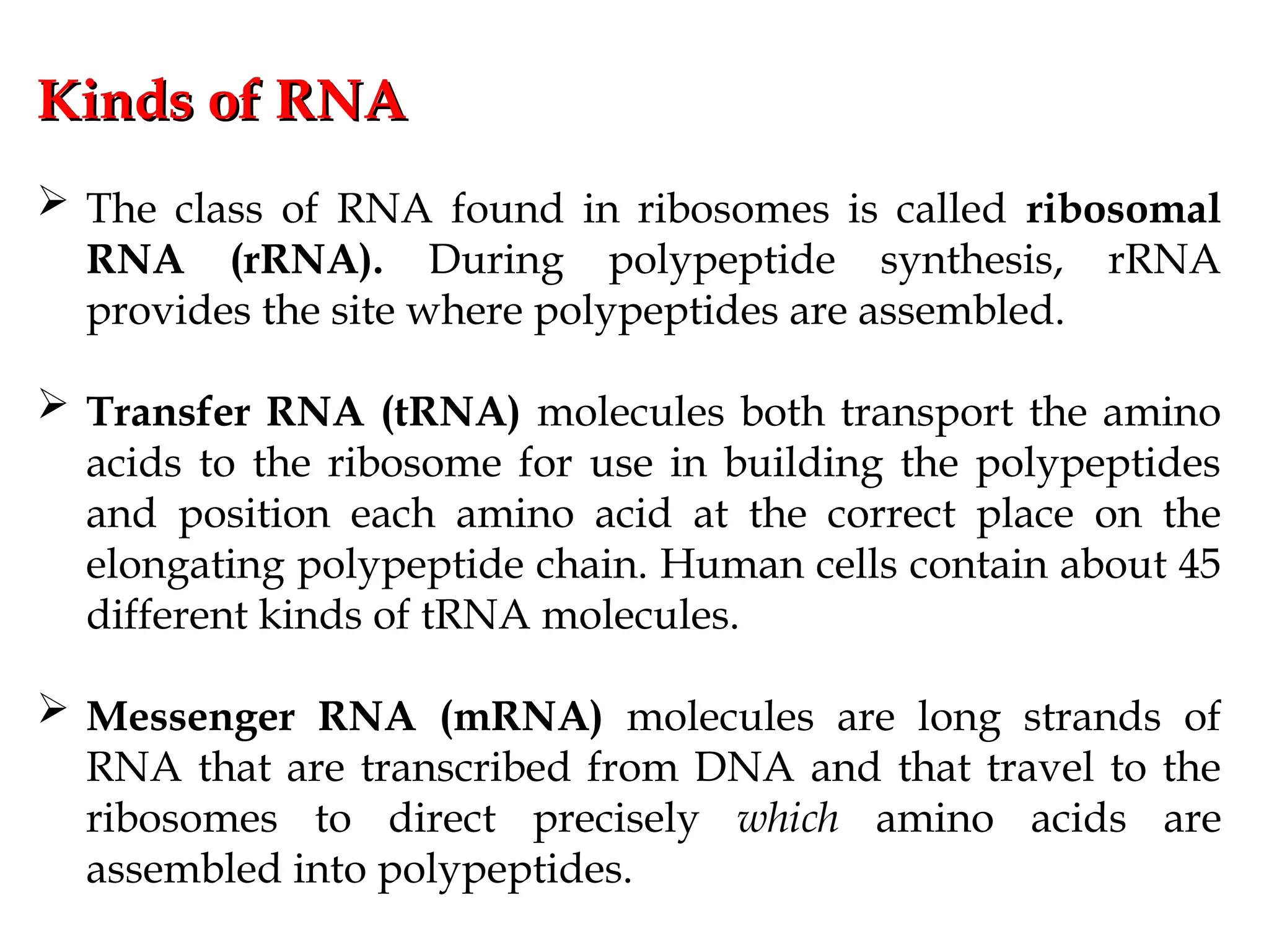 Kinds of RNA
Kinds of RNA
 The class of RNA found in ribosomes is called ribosomal
RNA (rRNA). During polypeptide synthesis, rRNA
provides the site where polypeptides are assembled.
 Transfer RNA (tRNA) molecules both transport the amino
acids to the ribosome for use in building the polypeptides
and position each amino acid at the correct place on the
elongating polypeptide chain. Human cells contain about 45
different kinds of tRNA molecules.
 Messenger RNA (mRNA) molecules are long strands of
RNA that are transcribed from DNA and that travel to the
ribosomes to direct precisely which amino acids are
assembled into polypeptides.
 
