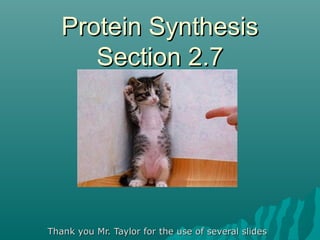 Protein SynthesisProtein Synthesis
Section 2.7Section 2.7
Thank you Mr. Taylor for the use of several slidesThank you Mr. Taylor for the use of several slides
 