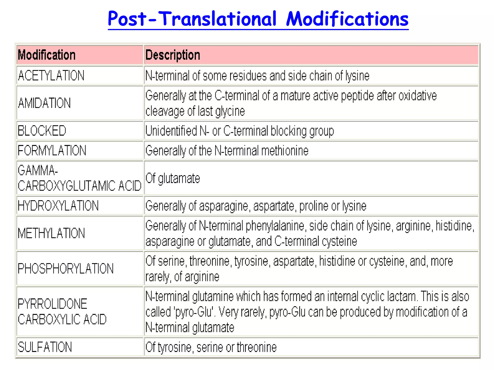 Post-Translational Modifications
 