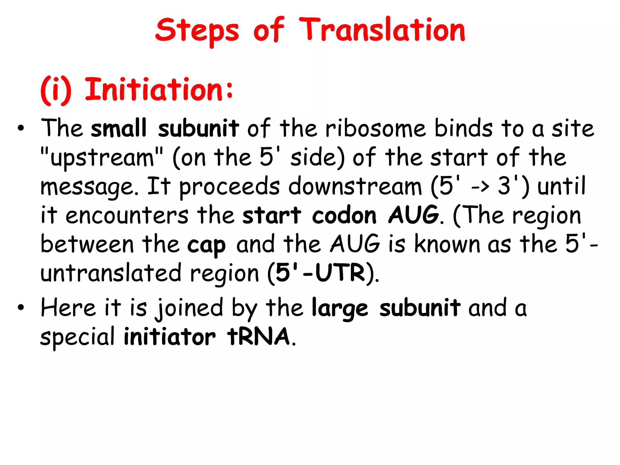 Steps of Translation
(i) Initiation:
• The small subunit of the ribosome binds to a site
"upstream" (on the 5' side) of the start of the
message. It proceeds downstream (5' -> 3') until
it encounters the start codon AUG. (The region
between the cap and the AUG is known as the 5'-
untranslated region (5'-UTR).
• Here it is joined by the large subunit and a
special initiator tRNA.
 