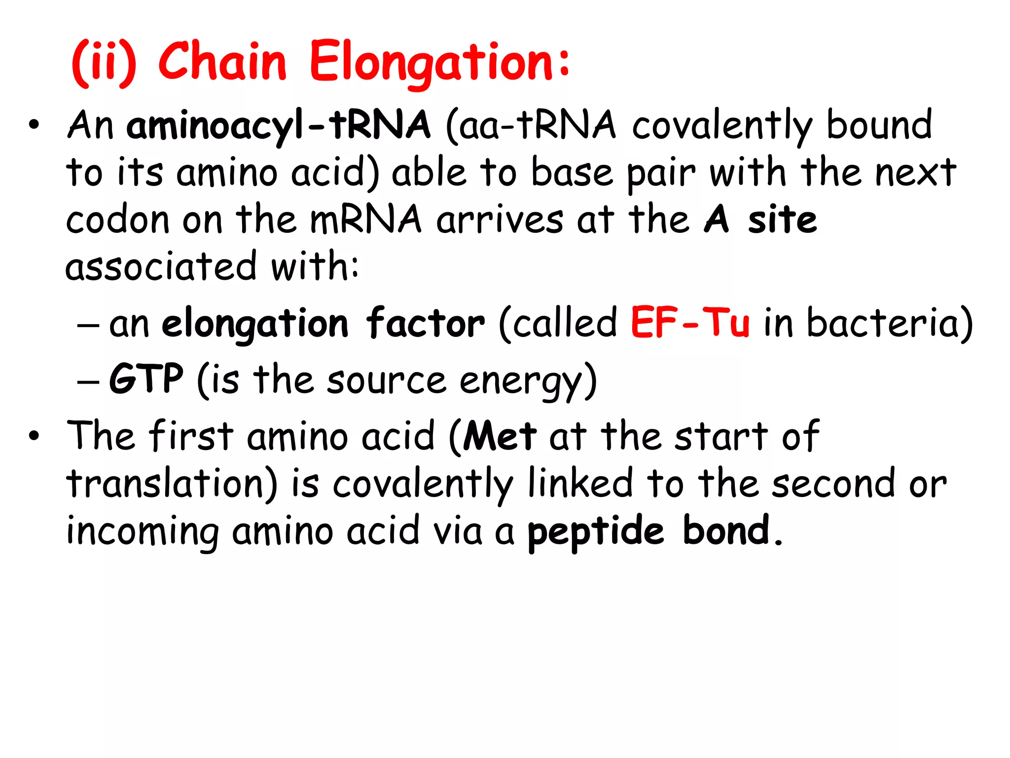 (ii) Chain Elongation:
• An aminoacyl-tRNA (aa-tRNA covalently bound
to its amino acid) able to base pair with the next
codon on the mRNA arrives at the A site
associated with:
– an elongation factor (called EF-Tu in bacteria)
– GTP (is the source energy)
• The first amino acid (Met at the start of
translation) is covalently linked to the second or
incoming amino acid via a peptide bond.
 