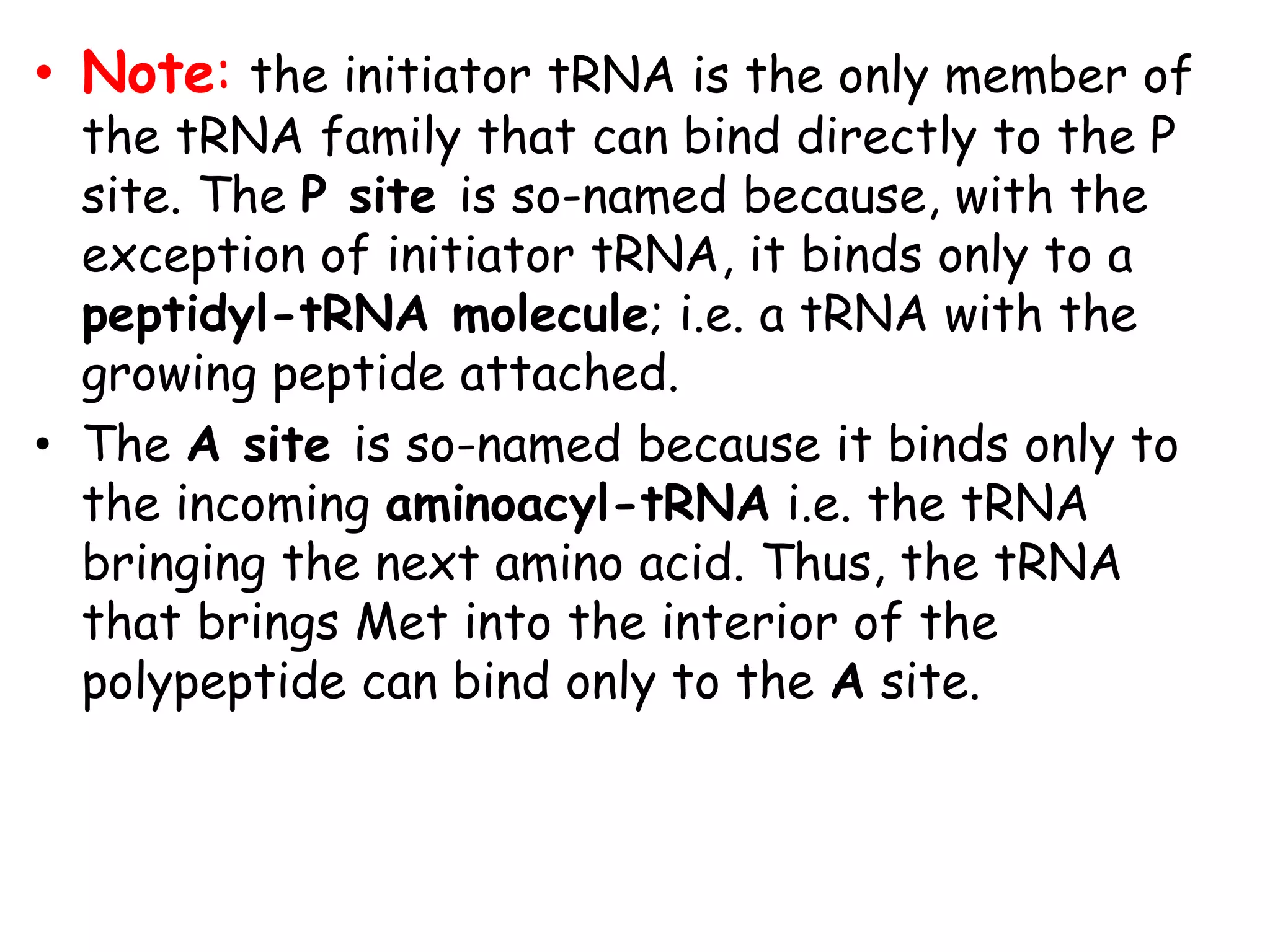 • Note: the initiator tRNA is the only member of
the tRNA family that can bind directly to the P
site. The P site is so-named because, with the
exception of initiator tRNA, it binds only to a
peptidyl-tRNA molecule; i.e. a tRNA with the
growing peptide attached.
• The A site is so-named because it binds only to
the incoming aminoacyl-tRNA i.e. the tRNA
bringing the next amino acid. Thus, the tRNA
that brings Met into the interior of the
polypeptide can bind only to the A site.
 