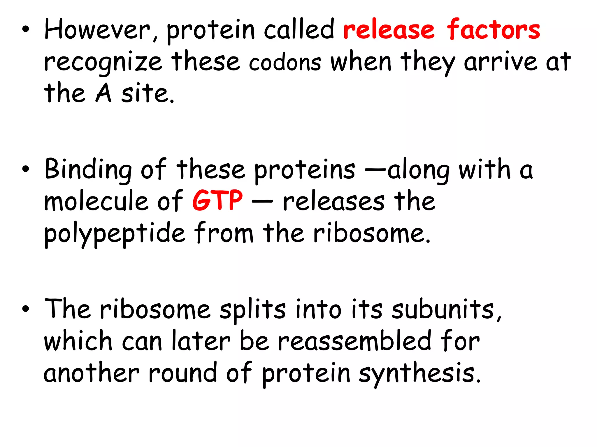 • However, protein called release factors
recognize these codons when they arrive at
the A site.
• Binding of these proteins —along with a
molecule of GTP — releases the
polypeptide from the ribosome.
• The ribosome splits into its subunits,
which can later be reassembled for
another round of protein synthesis.
 