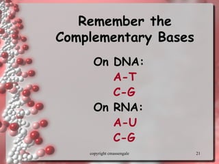 protein synthesis RNA DNA PRESENTATION ppt.ppt