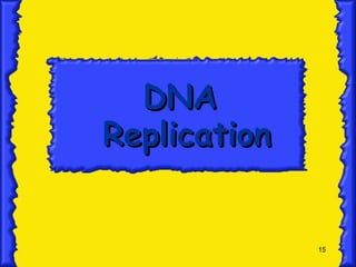 15
DNA
DNA
Replication
Replication
 