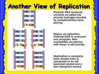 18
Another View of Replication
Another View of Replication
 