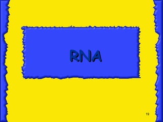 19
RNA
RNA
 