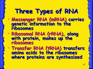 22
.
Three Types of RNA
Three Types of RNA
• Messenger RNA (mRNA)
Messenger RNA (mRNA) carries
carries
genetic information to the
genetic information to the
ribosomes
ribosomes
• Ribosomal RNA (rRNA)
Ribosomal RNA (rRNA),
, along
along
with protein, makes up the
with protein, makes up the
ribosomes
ribosomes
• Transfer RNA (tRNA)
Transfer RNA (tRNA) transfers
transfers
amino acids to the ribosomes
amino acids to the ribosomes
where proteins are synthesized
where proteins are synthesized
 