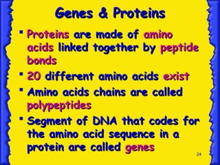 24
Genes & Proteins
Genes & Proteins
 Proteins
Proteins are made of
are made of amino
amino
acids
acids linked together by
linked together by peptide
peptide
bonds
bonds
 20
20 different amino acids
different amino acids exist
exist
 Amino acids chains are called
Amino acids chains are called
polypeptides
polypeptides
 Segment of DNA that codes for
Segment of DNA that codes for
the amino acid sequence in a
the amino acid sequence in a
protein are called
protein are called genes
genes
 