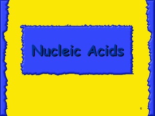 6
Nucleic Acids
Nucleic Acids
 