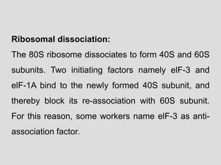 Ribosomal dissociation:
The 80S ribosome dissociates to form 40S and 60S
subunits. Two initiating factors namely elF-3 and
elF-1A bind to the newly formed 40S subunit, and
thereby block its re-association with 60S subunit.
For this reason, some workers name elF-3 as anti-
association factor.
 