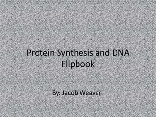 Protein Synthesis and DNA
Flipbook
By: Jacob Weaver

 