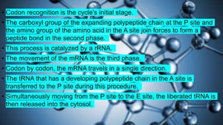 Protein Synthesis final.pptx