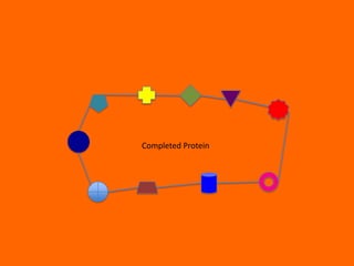 Completed Protein
 