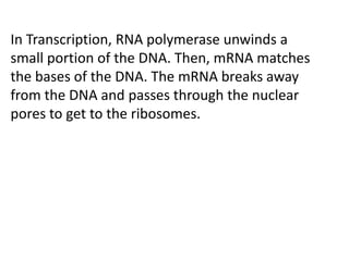 In Transcription, RNA polymerase unwinds a
small portion of the DNA. Then, mRNA matches
the bases of the DNA. The mRNA breaks away
from the DNA and passes through the nuclear
pores to get to the ribosomes.
 