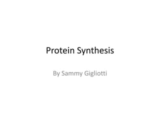 Protein Synthesis
By Sammy Gigliotti

 