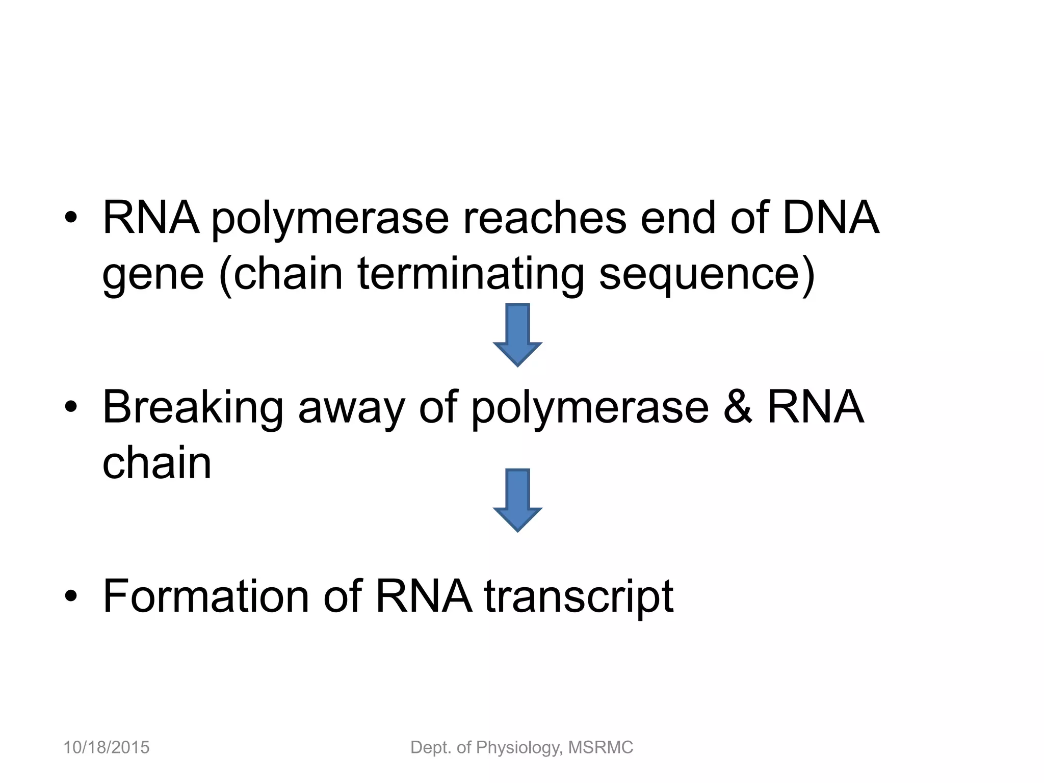 • RNA polymerase reaches end of DNA
gene (chain terminating sequence)
• Breaking away of polymerase & RNA
chain
• Formation of RNA transcript
10/18/2015 Dept. of Physiology, MSRMC
 